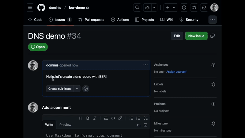 DNS Management Through Natural Language